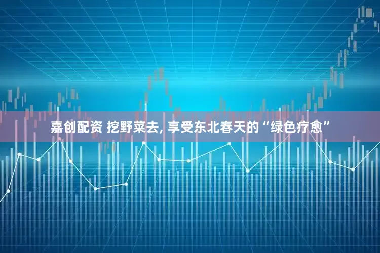 嘉创配资 挖野菜去, 享受东北春天的“绿色疗愈”