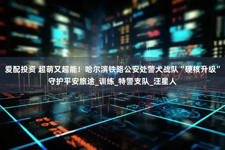 爱配投资 超萌又超能！哈尔滨铁路公安处警犬战队“硬核升级”守护平安旅途_训练_特警支队_汪星人