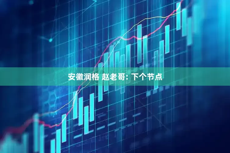 安徽润格 赵老哥: 下个节点