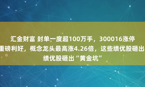 汇金财富 封单一度超100万手，300016涨停！创新药重磅利好，概念龙头最高涨4.26倍，这些绩优股砸出“黄金坑”