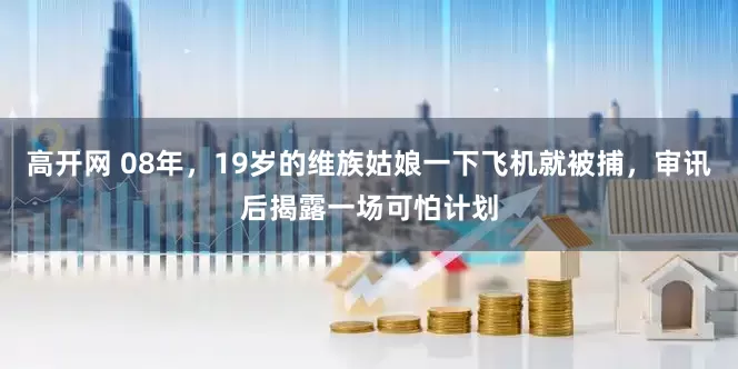 高开网 08年，19岁的维族姑娘一下飞机就被捕，审讯后揭露一场可怕计划